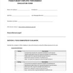 FREE 41 Sample Employee Evaluation Forms In PDF