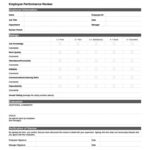 Professional Annual Employee Performance Summary Template Doc Sample